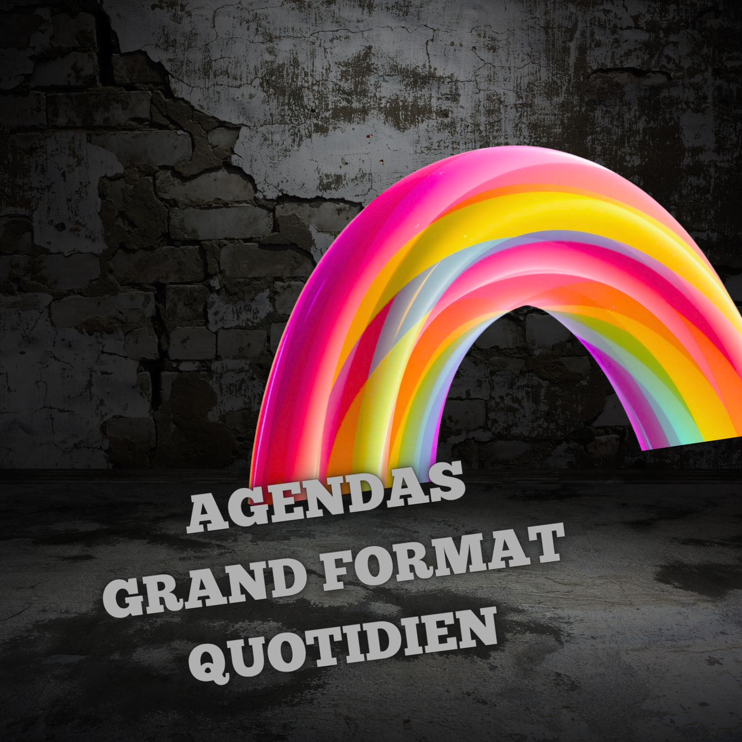 Agendas Quotidiens Grand Format
