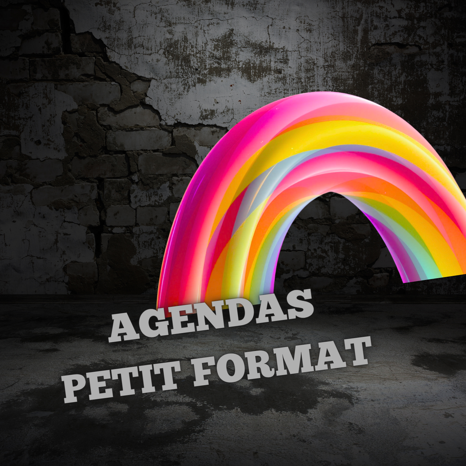 Agendas petit format